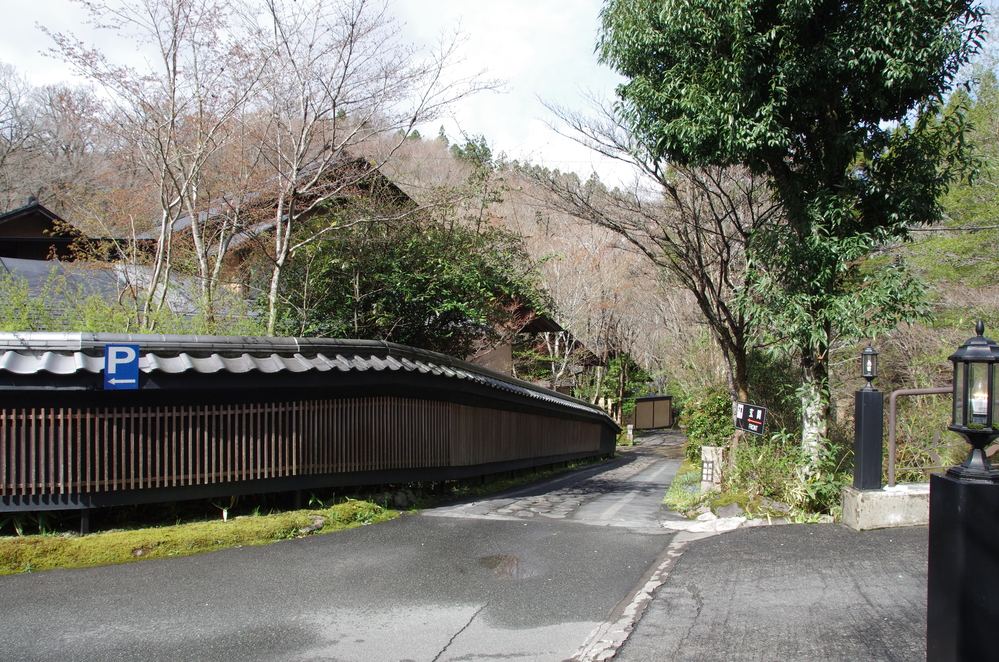お宿野の花の駐車場から玄関へ向かう道
